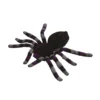 Araña Gigante Morada 15 cm