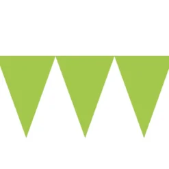Banderín de Papel Verde Kiwi 4,5 metros