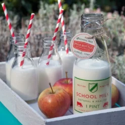 Botellita de leche tradicional 0,5 Lt