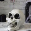 Cabeza Calavera 15 cm