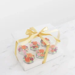 Caja para 6 Cupcakes Transparente con Lazo - PME