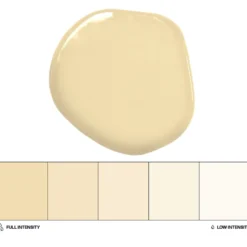 Colorante Liposoluble Arena 20 ml - Colour Mill