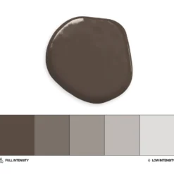 Colorante Liposoluble Café 20 ml - Colour Mill