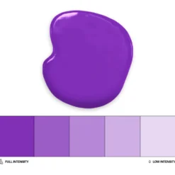 Colorante Liposoluble Colour Mill. - Purpura / Purple (20 Ml)
