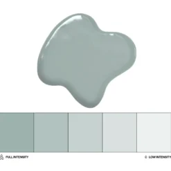 Colorante Liposoluble Eucalipto 20 ml - Colour Mill