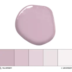 Colorante Liposoluble Malva 20 ml - Colour Mill