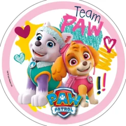 Disco de Oblea Patrulla Canina Modelo D 20,5 cm