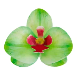 Flores De Oblea Orquidea Verde 10 ud - Dekora