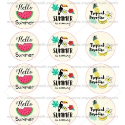 Juego de 12 Impresiones en Papel de Azúcar Verano Modelo B 6 cm
