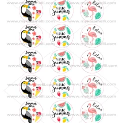 Juego de 15 Impresiones en Papel de Azúcar Verano Modelo A 5 cm