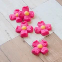Molde para Chocolate Bombón Flores 12 Cav - Bwb