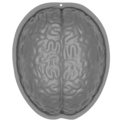 Molde Plástico Cerebro 19,5 cm