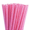 Pack de 24 Pajitas de Papel Chevron Fucsia