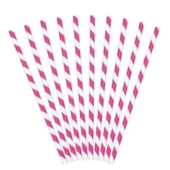 Pack de 10 Pajitas de Papel Rayas Fucsias