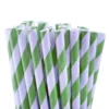 Pajitas Verdes y Blancas para Cake Pops y Bebidas