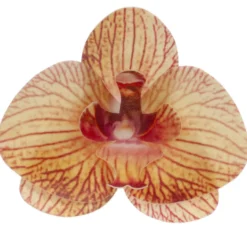 Set de 10 Orquídeas de Oblea Amarillas 8 cm