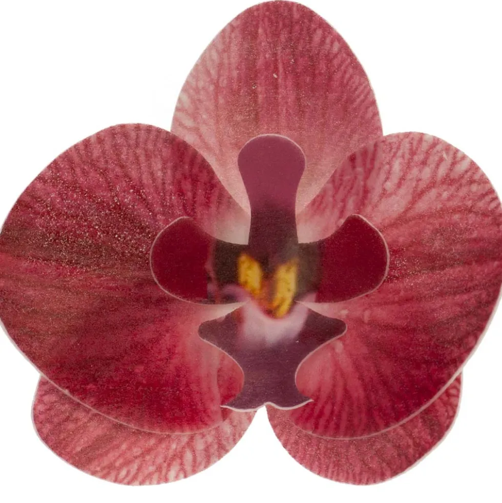 Set de 10 Orquídeas de Oblea Burdeos 8 cm